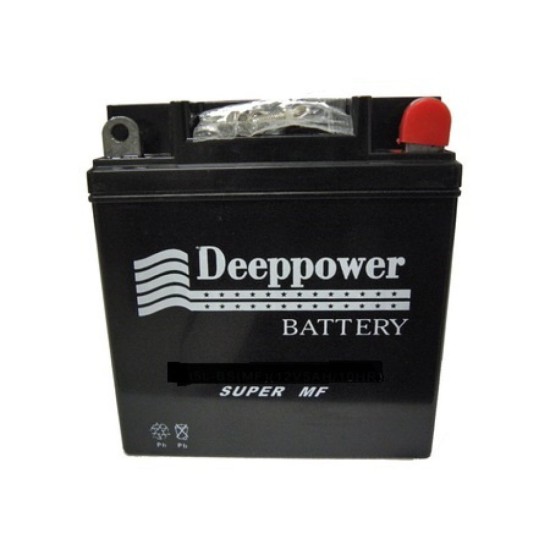 12N12L-BS AKÜ DEEPPOWER-DİK